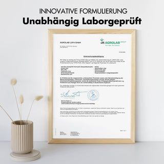 DAO-capsules - Veganistisch diamine-oxidase uit erwtenscheuten - 300.000 HDU