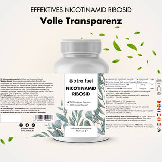 Nicotinamide riboside 300 - NAD+ precursor - niacine voor celenergie en vitaliteit*