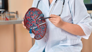 Nicht‑alkoholische Fettleber (NAFLD) – Ursachen und natürliche Gegenstrategien