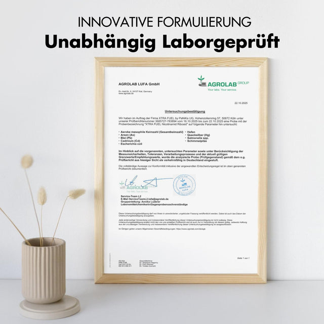 Nicotinamide Riboside - Langlevende NAD+ precursor met niacine voor energie & vitaliteit*