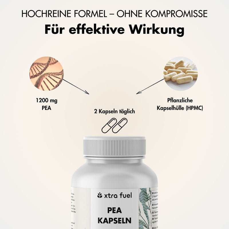 PEA Capsules - Gemicroniseerde Palmitoylethanolamide - 1200mg per dag