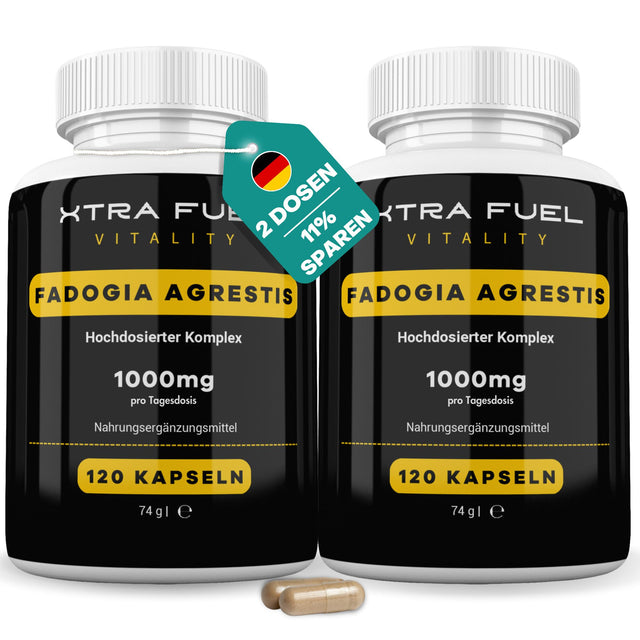 Fadogia Agrestis Kapseln fadogia XTRA FUEL 2x Dosen (240x Kapseln Fadogia)  
